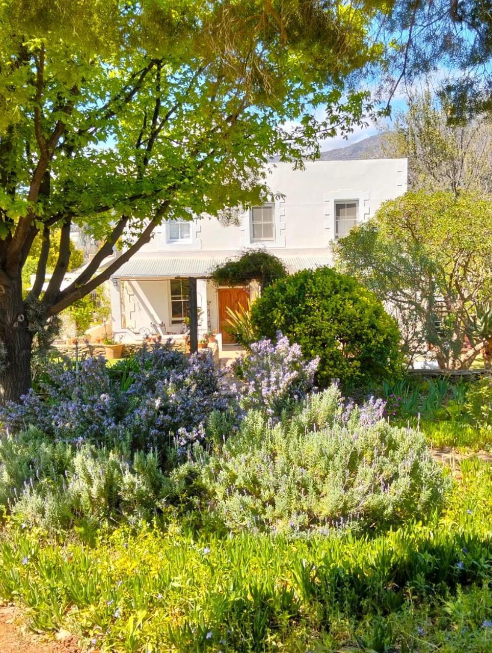 The Whitehouse Bed & Breakfast Barrydale Dış mekan fotoğraf